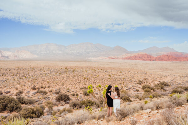 Neon to Nature Photo Tour